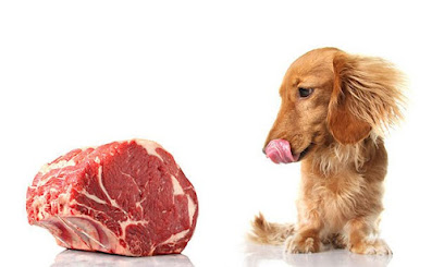 Мясо Для Собак