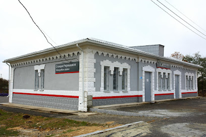 станция Чернышков