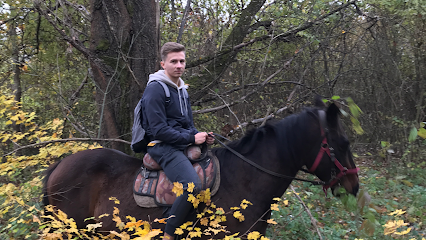 AliGori.ru конные прогулки в Молькино, беседки и домики на базе отдыха