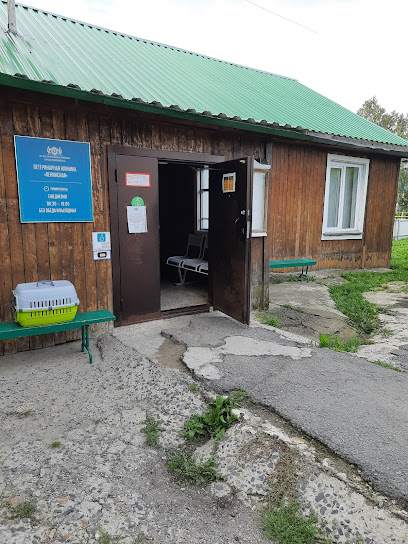 Государственная ветеринарная служба г. Новосибирска
