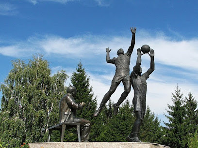 Памятник Волейболистам