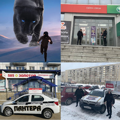 Okhrannoye Agentstvo Pantera, Usolye-Sibirskoye