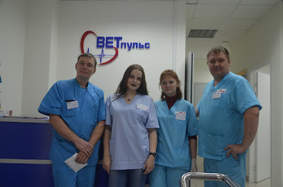 Veterinarnaya Klinika Vetpul's I P Klimov O G