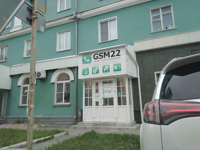 Gsm 22