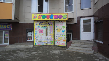 Детский развивающий центр "Совёнок"