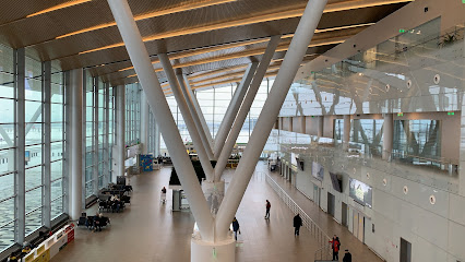 Международный аэропорт Платов