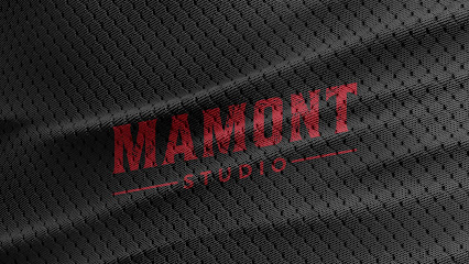 MamoNT-studio