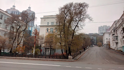 Владивостокский базовый медицинский колледж