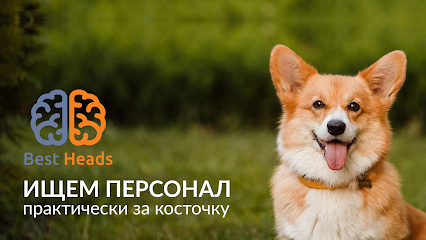 Рекрутинговое агентство Best Heads - подбор персонала Киев