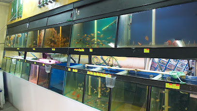 Akvariumy