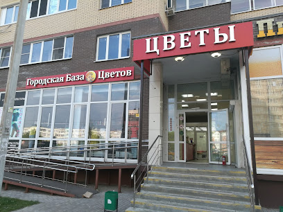 Городская база цветов