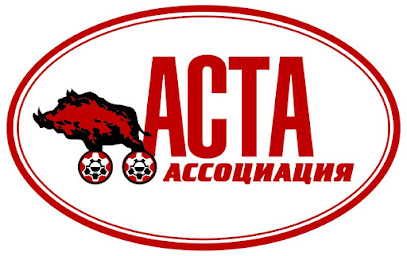 Автозапчасти АСТА