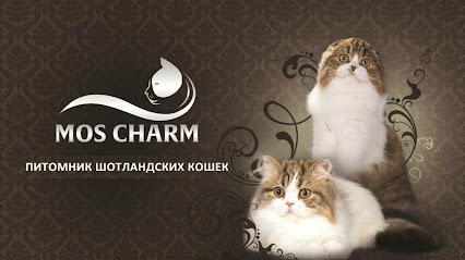 "Mos Charm" питомник шотландских кошек