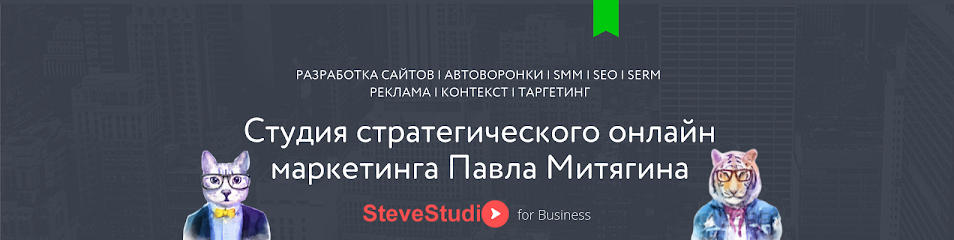 SteveStudio - стратегический онлайн-маркетинг