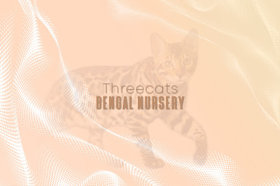 Питомник бенгальских кошек Threecats