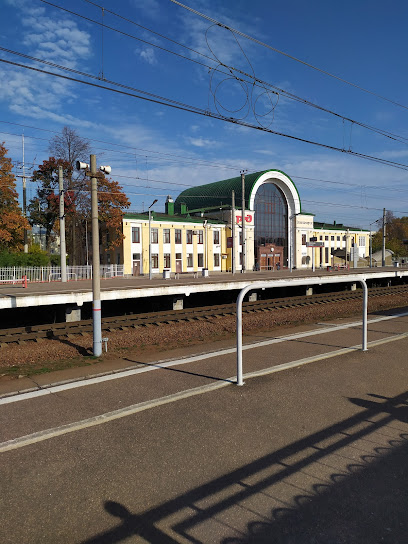 Зеленогорск, вокзал