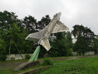 Самолёт-памятник в Грабцево.