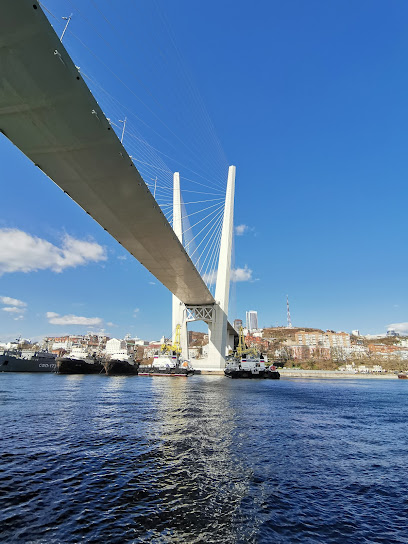 Морские экскурсии "Мосты Владивостока"