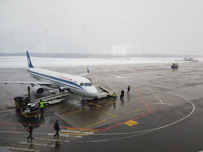 Белавиа Аэропорт Минск