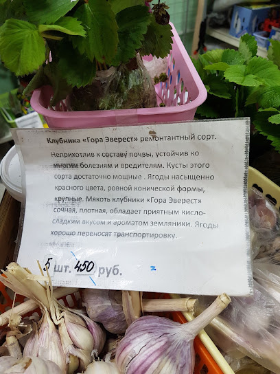 Магазин Семена На Стахановцев В Спб Каталог