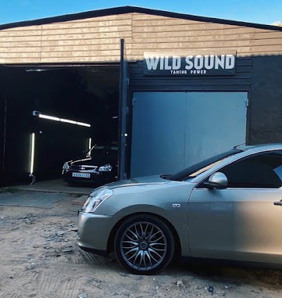 Wild Sound студия автозвука