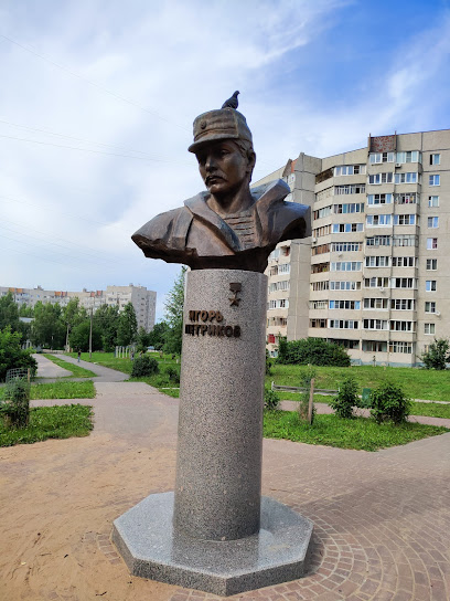 Монумент Герою России Игорю Петрикову