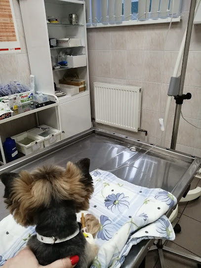 Ветеринарная станция Петродворцового района, клиника
