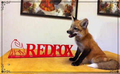 Зоосалон Red Fox