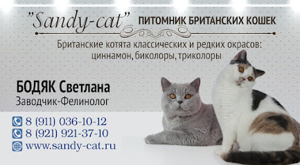 Питомник британских кошек Sandy-cat
