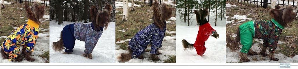 McDog.ru - одежда для небольших собак