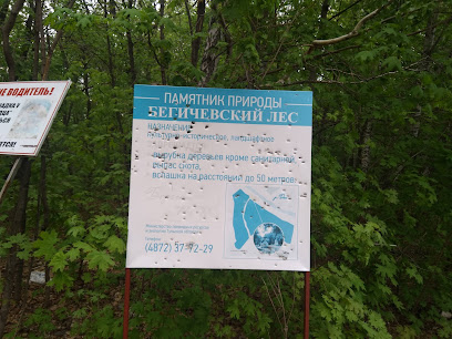 Памятник природы Бегичевский лес