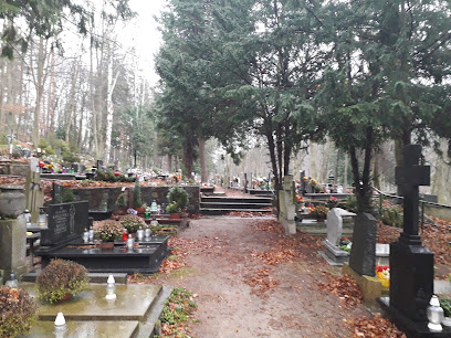 Витоминское кладбище