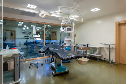 Vitkus Clinic - Plastinės chirurgijos klinika