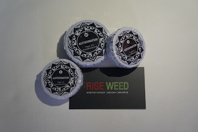 RiseWeed - Каталог семян