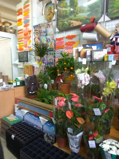 Магазин Цветов Лилия