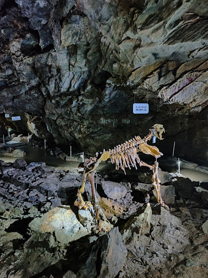 Пещера "Караульная 2"