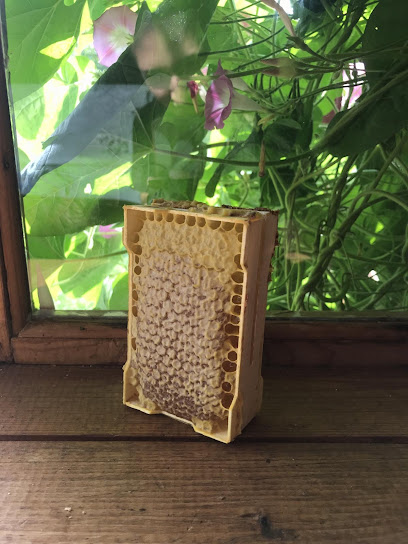 Натуральный мёд из Сорокоумово