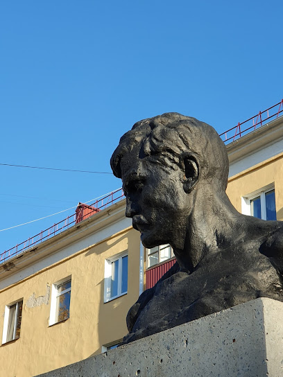 Памятник Д.Е. Пичугину