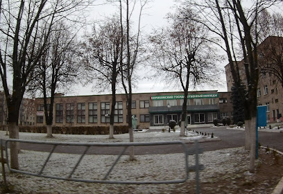 Борисовский государственный колледж