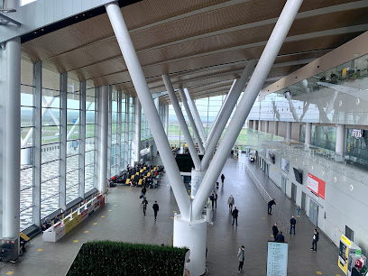 Международный аэропорт Платов
