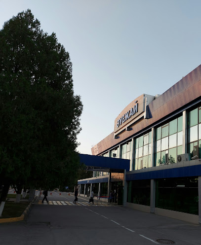 Международный аэропорт Шымкент