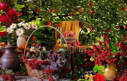 «Плодовый Мир» - садовый питомник