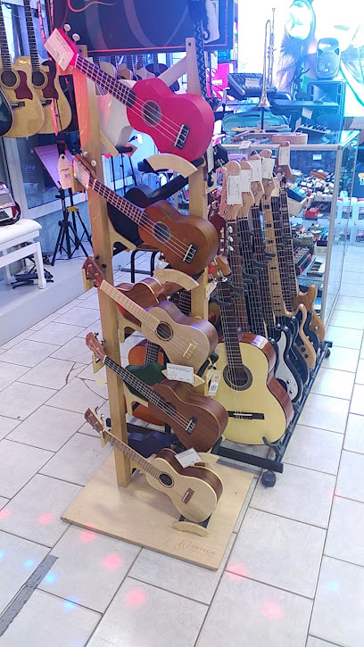 Shop musical instruments