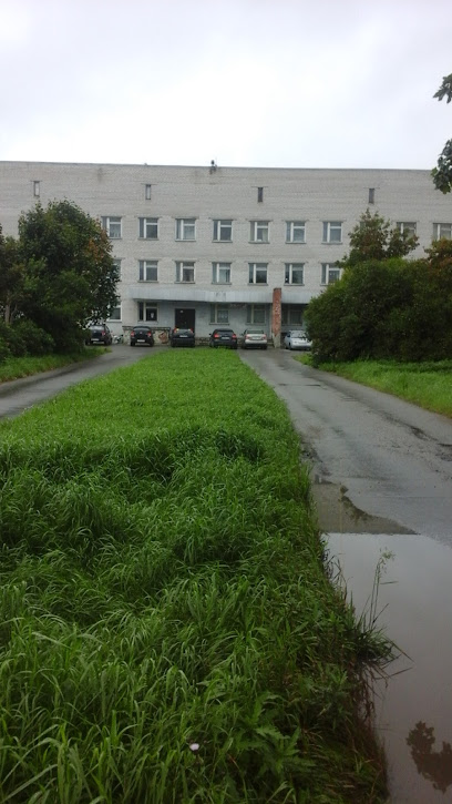 Русско-высоцкая Участковая Больница