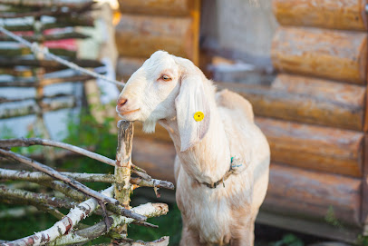 Козья ферма "Счастливая коза"