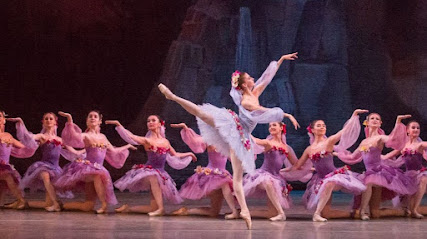 Академия Русского балета имени А. Я. Вагановой
