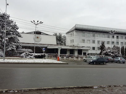 North-Caucasian State Institute of Arts