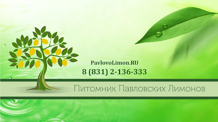 Павловские лимоны