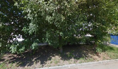 Городская Больница