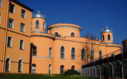 Чесменский дворец